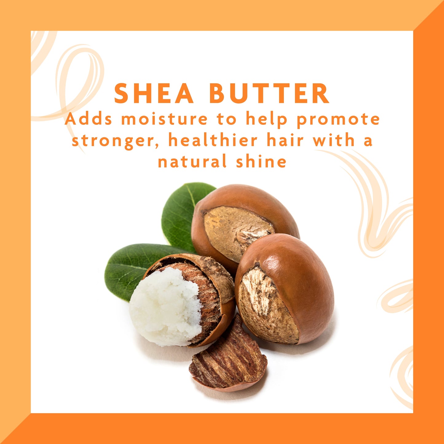 Shea Butter Moisturizing Cream Shampoo, 13.5 Fl Oz